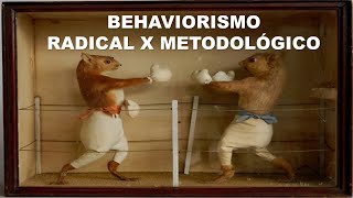 Behaviorismo Radical e behaviorismo metodológico [upl. by Wolsniw]