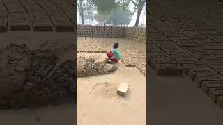 Teri mitti mein mil Java Gul banke khil Java trending short video viral [upl. by Yeh]