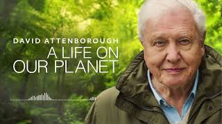 David Attenborough  A Life On Our Planet  Audio Book [upl. by Rutherford]