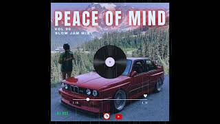 SLOW JAM MIX 2024  04 AUGUST  PEACE OF MIND VOL 90  DJ Ace ♠️ [upl. by Milena418]