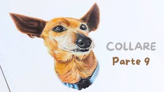 IL COLLARE DEL CANE  Disegno cane realistico  Parte 9 [upl. by Nosimaj]