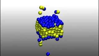 Self Assembly of Lipid Bilayer Membrane [upl. by Anelaj654]