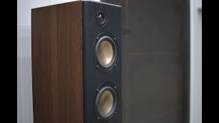 Overnight Sensation Tower Speaker TMM build [upl. by Temp902]