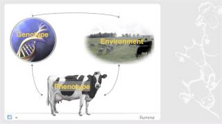 Genomics A Paradigm Shift in Animal Breeding [upl. by Marucci]