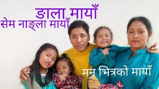 TamangGajal  Ngala semla maya  Mero manko maya By Ram tamang [upl. by Anitsyrk97]