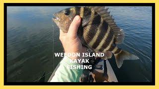 Weedon Island Kayak Fishing w Fiddler Crabs [upl. by Rebme]