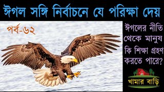 ঈগলের ৮টি নীতি যা থেকে মানুষ শিক্ষা গ্রহণ করে কাজে লাগাতে পারে – খামার বাড়ি Khamar Bari পর্ব৬২ [upl. by Eidac30]