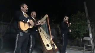 La media naranja quotMariachi Trio Generacion De Sacramentoquot [upl. by Ysle]