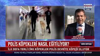 Polis köpekleri nasıl eğitiliyor [upl. by Herb853]