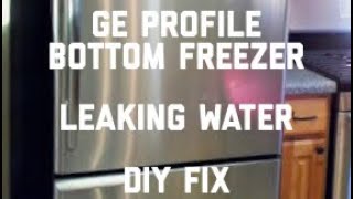 ✨ GE Profile Bottom Freezer Leaking —  EASY FIX  ✨ [upl. by Nnylorac]