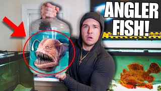 BUYING Creepy ANGLER FISH OFF THE WEB For My SALTWATER AQUARIUM [upl. by Seuguh]