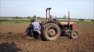 potato planting [upl. by Jarvis]