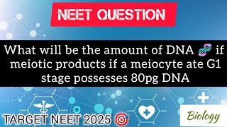 What will be the amount of DNA of meiotic products if a meiocyte at G1 stage possesses 80pg DNA [upl. by Sapphira]