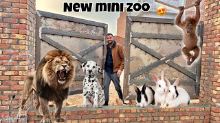 New Mini zoo Ka Gate Lg Giya😍 [upl. by Thorlie]