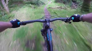 Hawkcombe Head Bridleway MTB Exmoor [upl. by Robbie638]