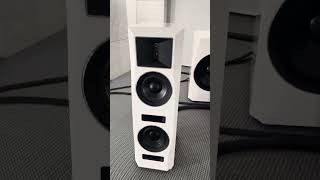 Goebel Loudspeakers and 21quot subwoofers hifi music loudspeaker bass audiophile [upl. by Adlaremse]