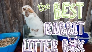 Rabbit Litter Box Comparison [upl. by Attenad]