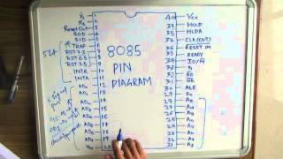 pin diagram of 8085 [upl. by Ahders843]