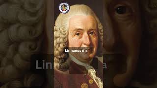 Carl Linnaeus [upl. by Boleyn]