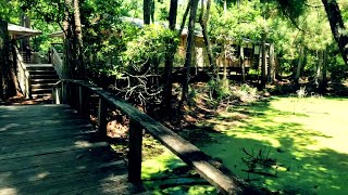 NAGS HEAD WOODS The Outer Banks [upl. by Sib]