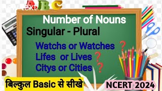 Singular and plural Noun Rules Singular से Plural कैसे बनाते हैं [upl. by Tarsuss916]