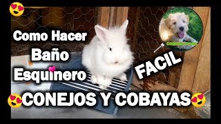 Como Hacer Baño Esquinero para Conejos y Cobayas Fácil  mascotas [upl. by Sothena]