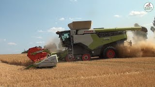 Wintergerste Ernte mit den neuen Claas Lexion 8800 Grain Harvest Fendt  Multi Agrar Claußnitz [upl. by Yeoz]