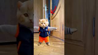 😂🤣 Cats Dancing Hilarious Cat Moves [upl. by Onstad]