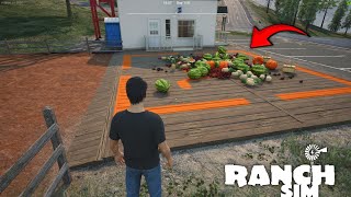 I Collect 1000 Fruits Become a Lakhpati On Our Ranch  Ranch Simulator Hindi Gameplay [upl. by Roseanna632]