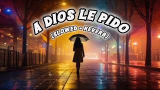 Juanes💔  A Dios Le Pido💫 LetraLyrics [upl. by Nibot849]