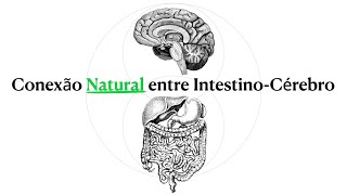 Se o CÉREBRO Não Funciona A Culpa É Do INTESTINO aqui está o porquê [upl. by Nathanson733]