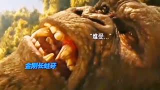 Godzilla X Kong Leaks Spoilers kong has a metal tooth [upl. by Llyrehc]