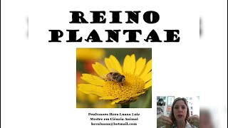 Reino Plantae  Briófitas e Pteridófitas  2° EM [upl. by Nero]