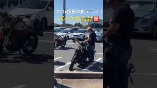 祝日㊗️の針テラスはバイクだらけ！カブツー カブツーリング 針テラス みんな大好き針テラス女性カブ乗り カブ バイク女子と繋がりたい [upl. by Preciosa]