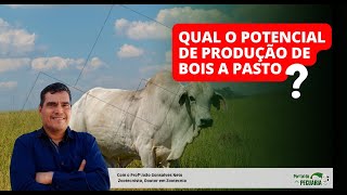 Qual o potencial de produção de bois a pasto [upl. by Ennywg]