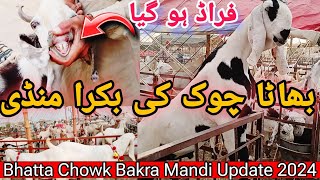 Bhatta Chowk Bakra Mandi New Update 2024 [upl. by Opportina]