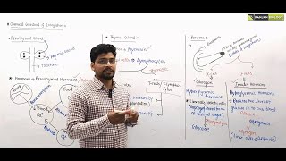 C4 Chemical Coordination amp Integration  11th Biology  NEETUG 2024  NCERT Academic Session 2324 [upl. by Htiduj]