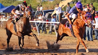 Carreras de Caballos en Cumpas 02 Septiembre 2023 [upl. by Eniamrahs292]