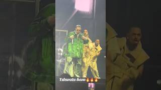 Chris Brown on Tshwala Bam Challenge [upl. by Elocan413]