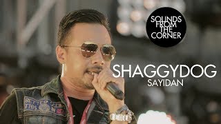 Shaggydog  Sayidan  Sounds From The Corner Live 23 [upl. by Arais]