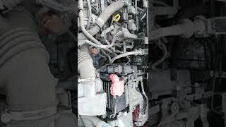 ford freestyle engine vedio [upl. by Kleinstein236]