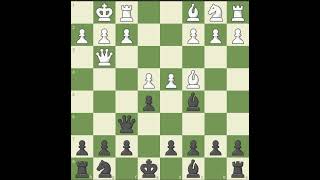 fools mate chess hikaru chessgame magnus checkmate chesscom magnuscarlsen chessopenings [upl. by Kleinstein135]