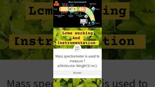 Mass Spectrometry I Principle and Instrumentation I analyticalChemistry lcms massspectrometry [upl. by Andrej]