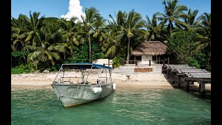 Scuba Diving Adventure at Tokoriki Island Fiji filmed with Sony a6400 [upl. by Akirdnahs693]