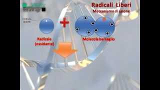 I Radicali Liberi [upl. by Strickler475]