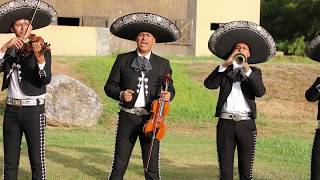 Por Amor a mi Padre  El Mariachi TecalitlÃ¡n [upl. by Nylatsirk275]