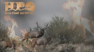 Hunting Arizona Elk Deer Antelope sheep Lion amp Bear High Point Outfitters [upl. by Rawdan377]