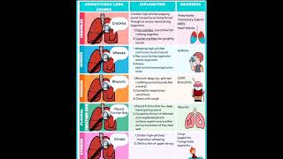 Adventitious lung sounds [upl. by Edecrem]