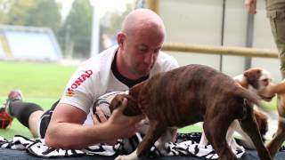 Le Zebre Rugby protagoniste del calendario 2015 Rescue Boxer La Fenice [upl. by Anig]