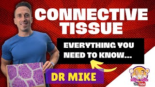 Connective Tissue  Everything you need to know [upl. by Royce29]